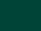 Pro Dark Green Color Chip